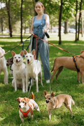 Similar image 22205501