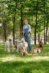 Similar image 22205502