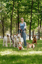 Similar image 22205504