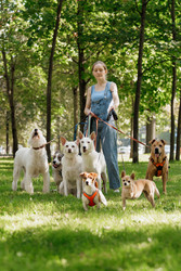 Similar image 22205506