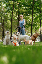 Similar image 22205507