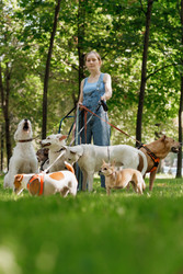 Similar image 22205508