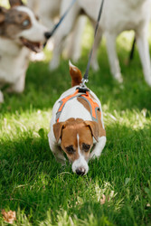 Similar image 22205509