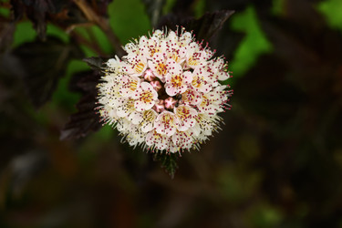 Similar image 22200596