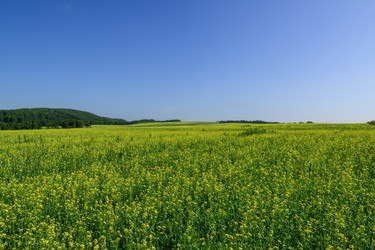 Similar image 22200597