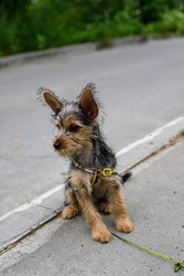 Similar image 22200599