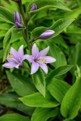 Similar image 22201276