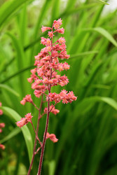 Similar image 22201277