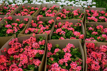 Similar image 22200601