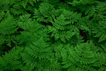 Similar image 22200602