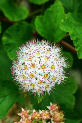 Similar image 22200603