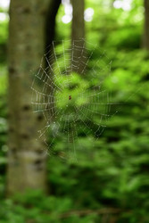 Similar image 22201278