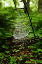 Similar image 22201279