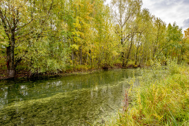 Similar image 22206267