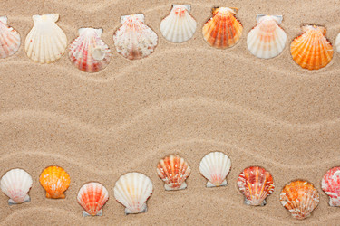 Similar image 22203682