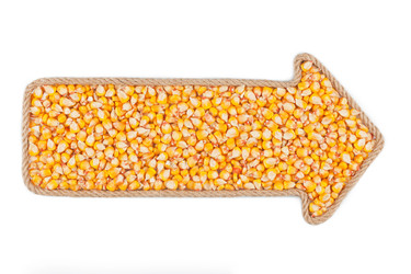 Similar image 22203711