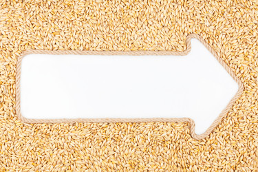 Similar image 22203713