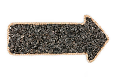 Similar image 22203714