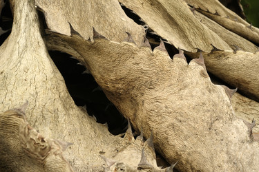 Similar image 22202622