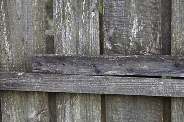 Similar image 22202623