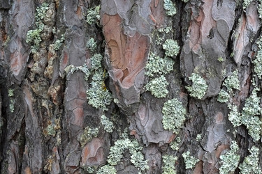 Similar image 22202790