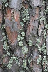 Similar image 22202791