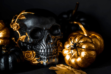 Similar image 22201301