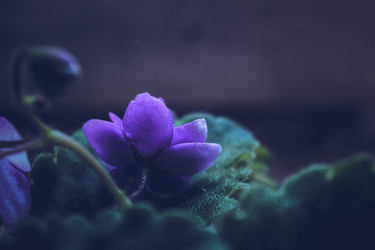 Similar image 22201280