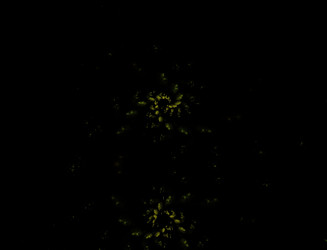 Similar image 22200964