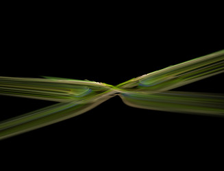 Similar image 22200974