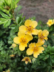 Similar image 22200605