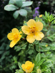 Similar image 22200606