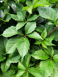 Similar image 22200608