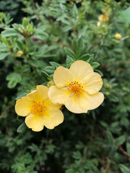 Similar image 22200610