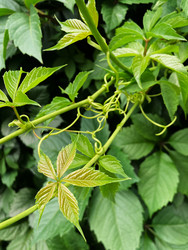 Similar image 22200611