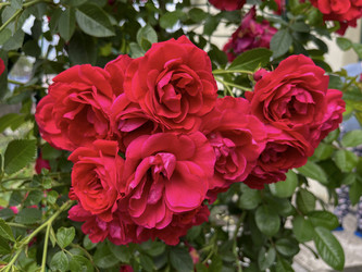 Similar image 22203722