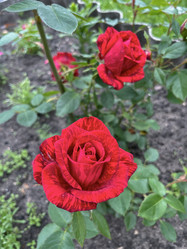 Similar image 22203726