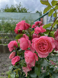 Similar image 22203727