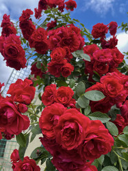 Similar image 22203728