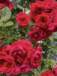 Similar image 22203729