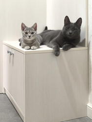 Similar image 22202168