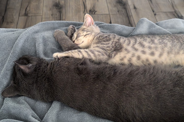 Similar image 22202169