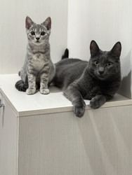 Similar image 22202170