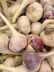 Similar image 22202173