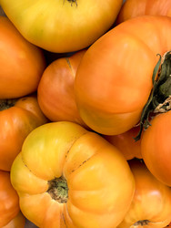 Similar image 22202174