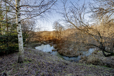 Similar image 22206052