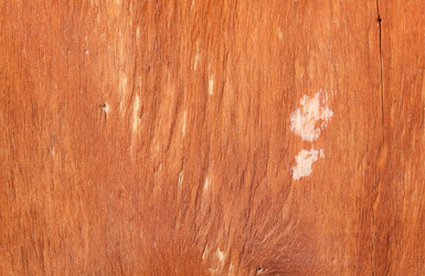 Similar image 22201206