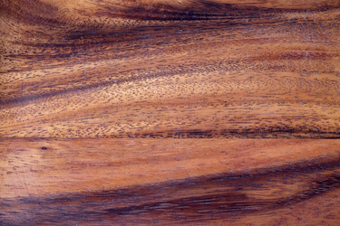 Similar image 22201211