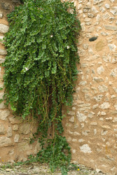 Similar image 22201220