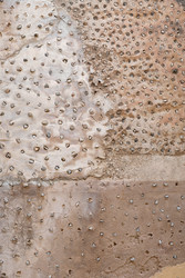 Similar image 22201223